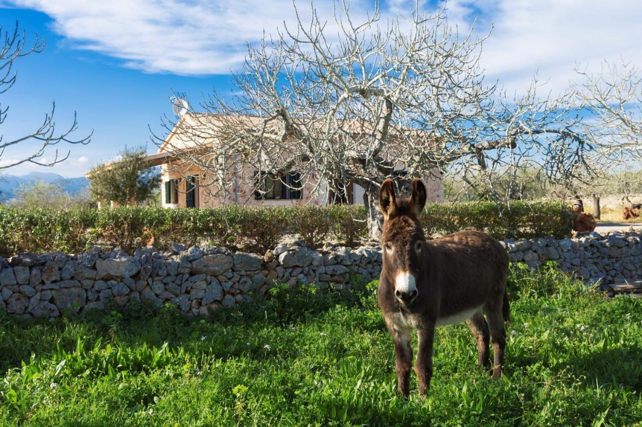 155 Finca Son Rossignol By Mallorca Charme Villa Sineu  Exterior foto